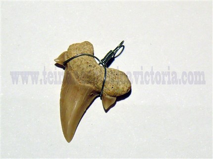 colgante-diente-tiburon