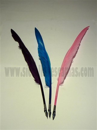 pluma-de-oca