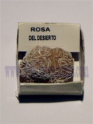 rosa-del-desierto