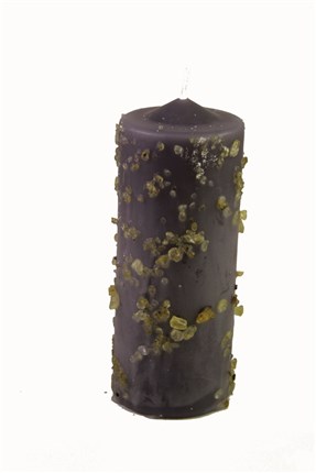 VELON PROPOSITO CAUSAS IMPOSIBLES